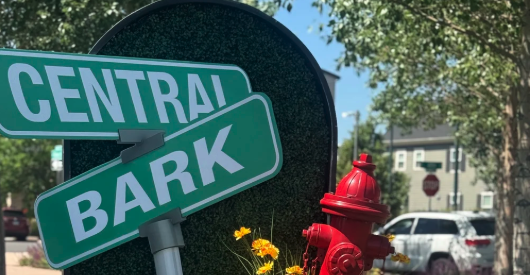 Central Bark 2026