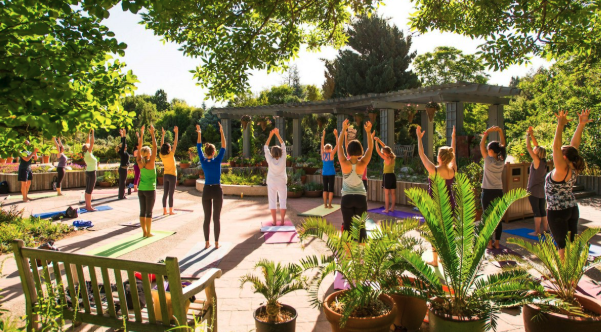 Chi Kung For High-Level Wellness