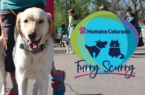 33rd Annual Furry Scurry