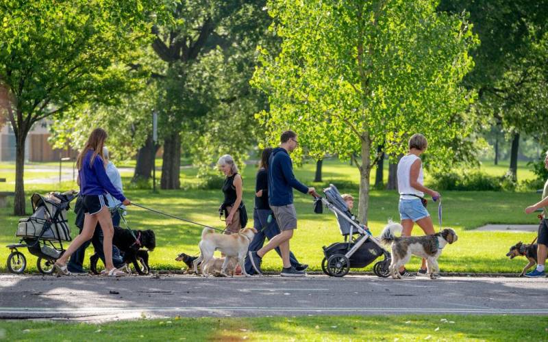 Let's start a weekend walking club! Photo
