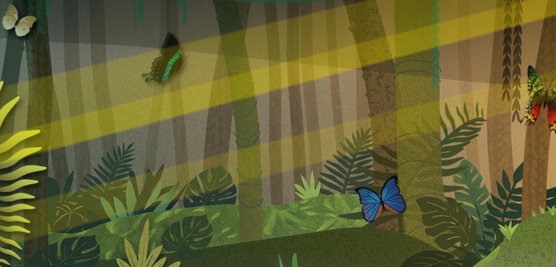 Butterfly Pavilion Yoga