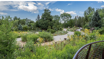 Free day at Denver Botanic Gardens for 50+