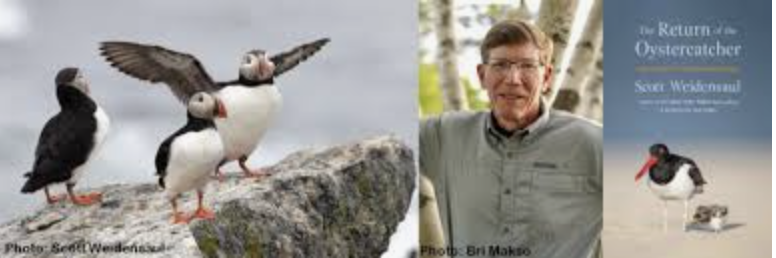 Saving Birds to Save the Planet