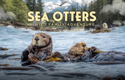 Sea Otters: The movie: SENSORY FRIENDLY