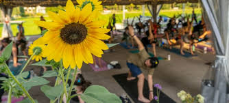 Violins, Vino and Vinyasa Yoga at The Gardens