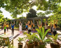Gentle Yoga and Breath at The Botanic Gardens