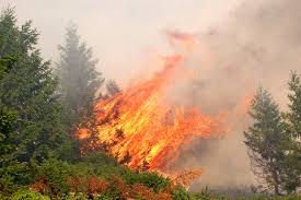Wildfires:  A Timely Webinar!